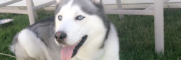 kelliee_m Profile Banner