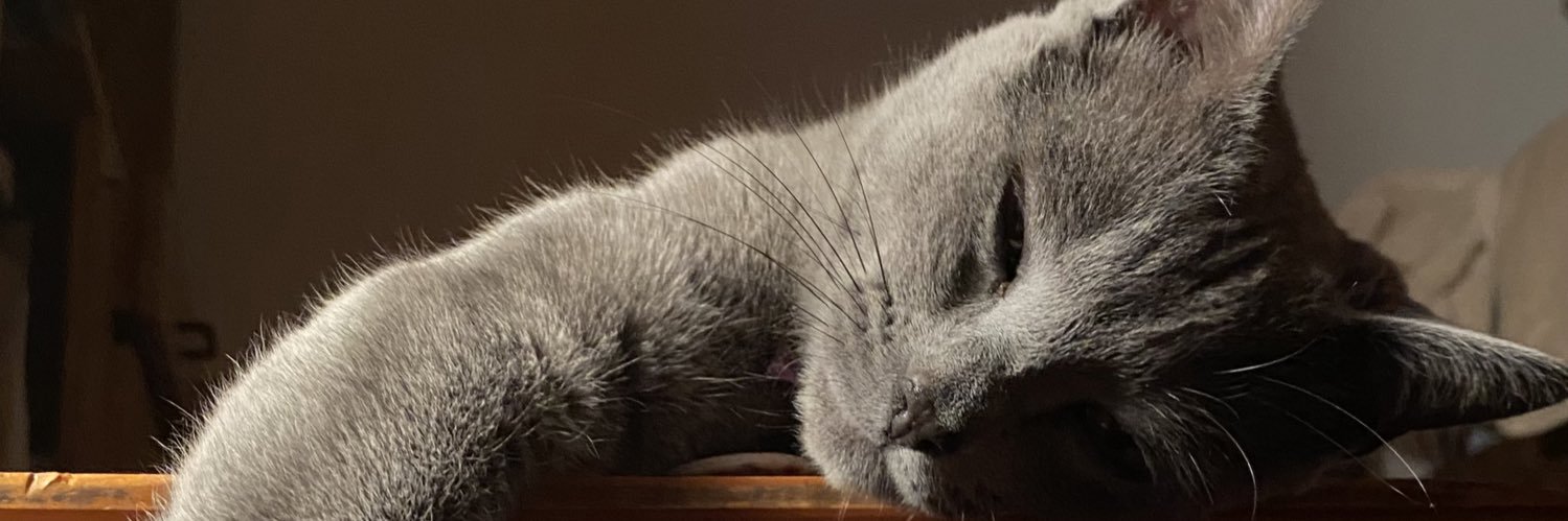facuuforte's profile banner image