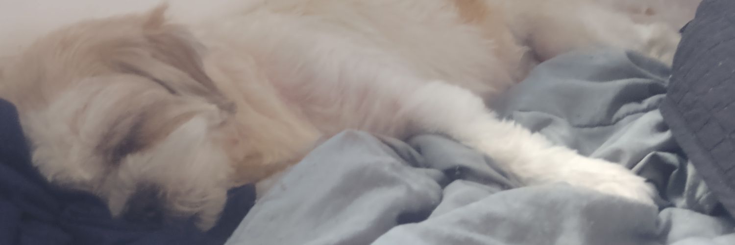 jones_pimba's profile banner image