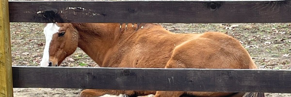 GeorgiaCassidy6's profile banner image
