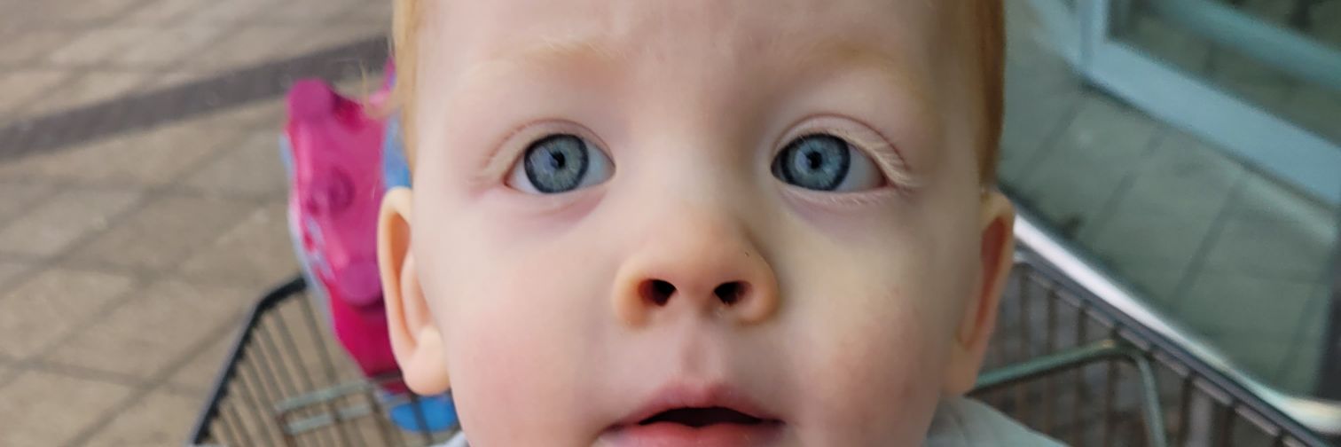 sandra watson banner