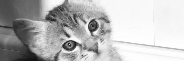 feridekrgc's profile banner image