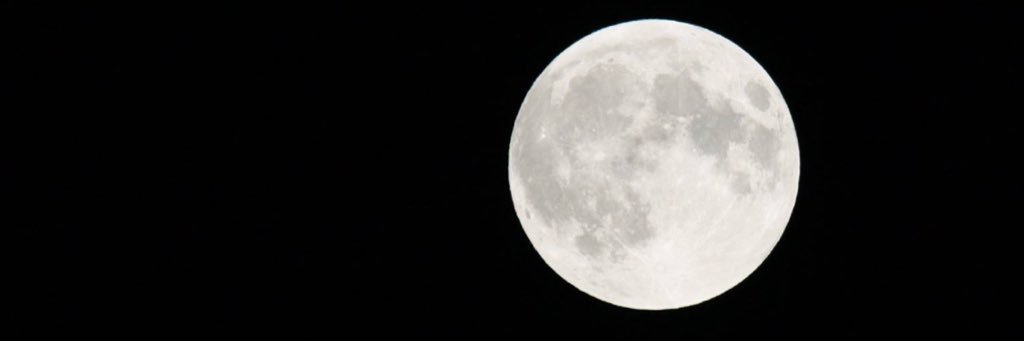 serenaronner's profile banner image