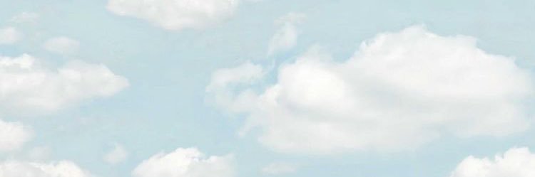 taliadiclaudio's profile banner image