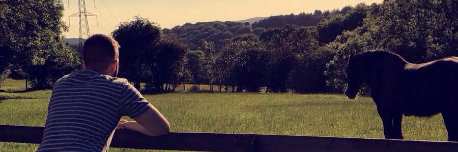 YnyrHigham's profile banner image