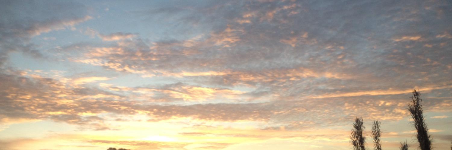 lyramurray_'s profile banner image