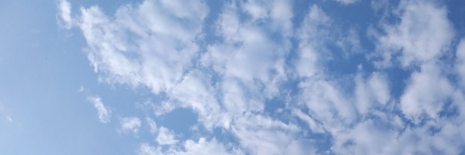 dgz_13's profile banner image