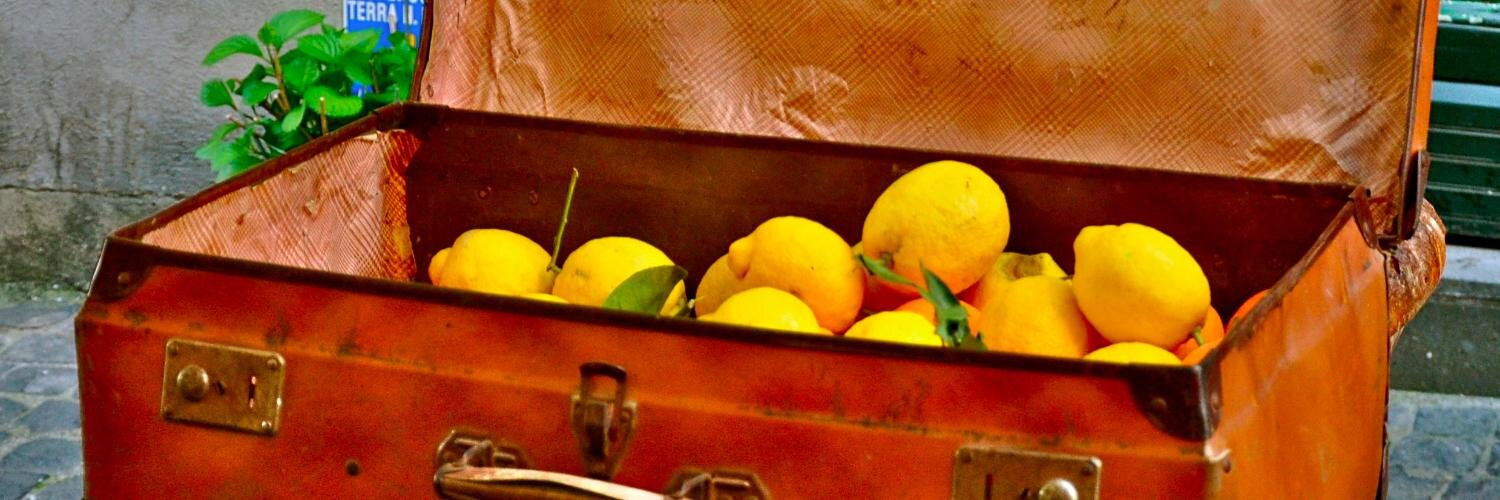 cataleclercq's profile banner image
