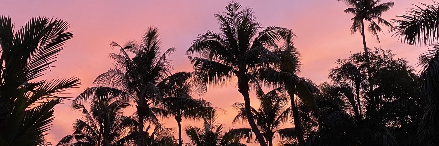 celinedoritos's profile banner image