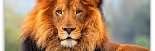 Jon_Amerson's profile banner image