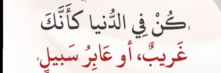 ابو ناصر ... banner