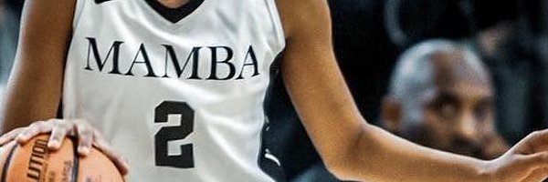 NikkoRMS Profile Banner