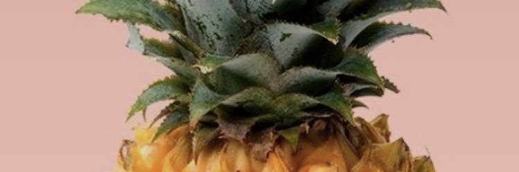 MillieBoinky's profile banner image