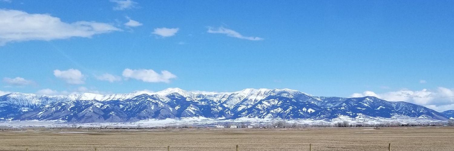mtguy937's profile banner image