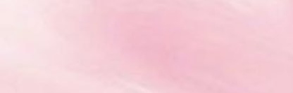 tortugapitt's profile banner image