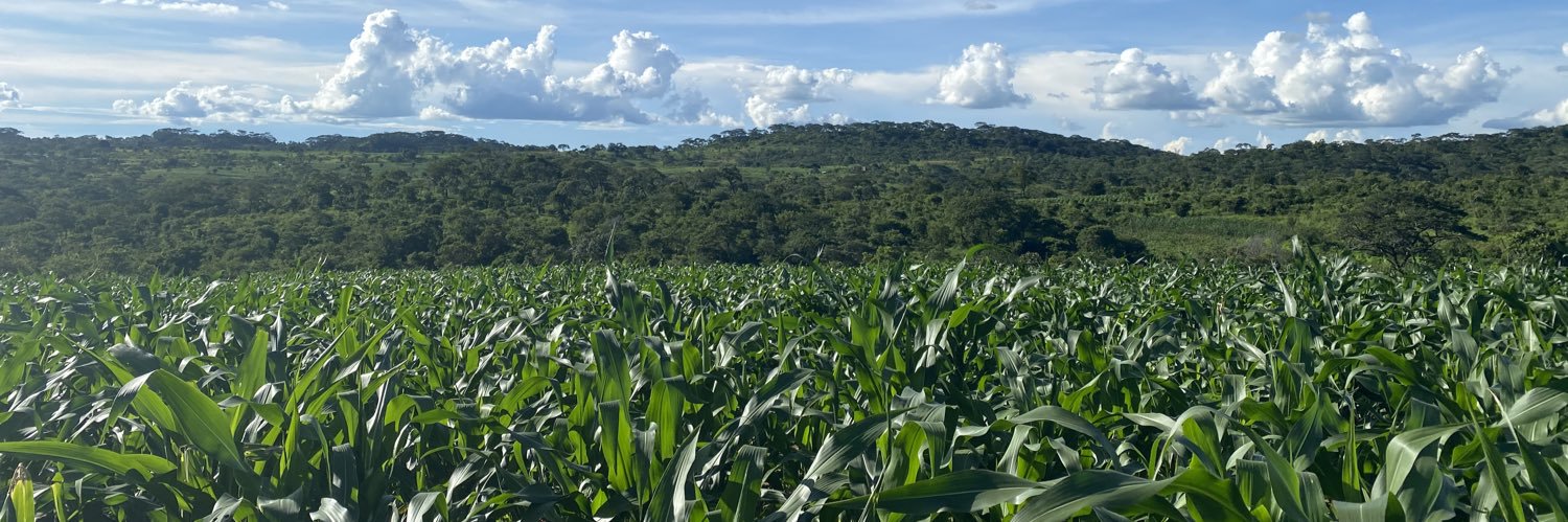 PNyamunga's profile banner image