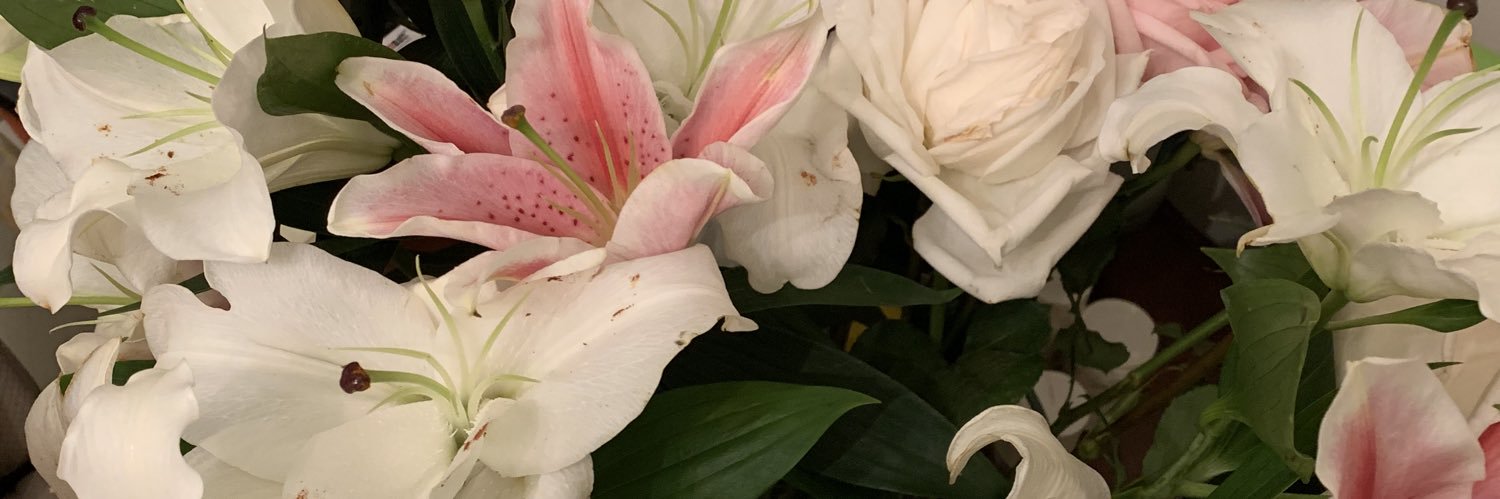 KOOKENA's profile banner image
