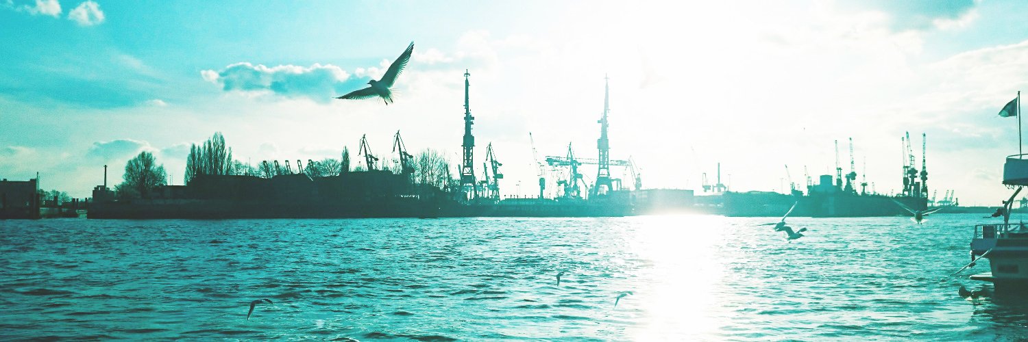 dieelbhunter's profile banner image