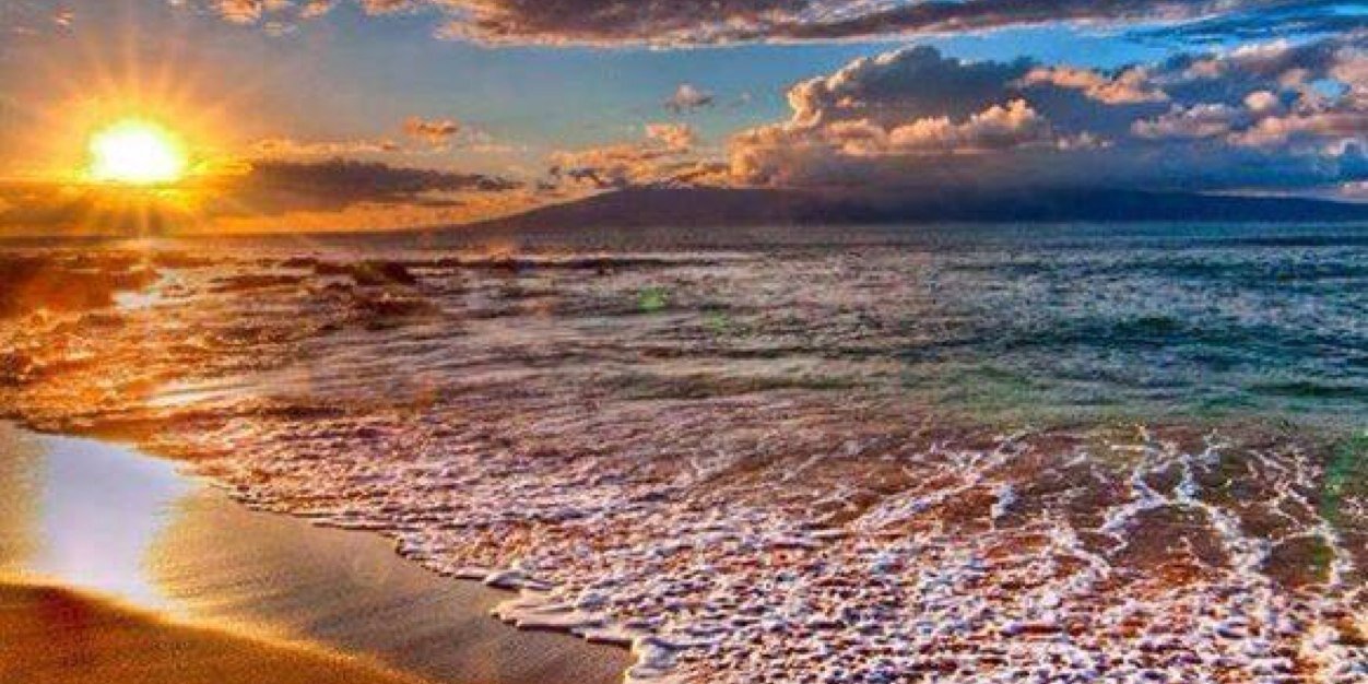 Amy L. Cormier banner