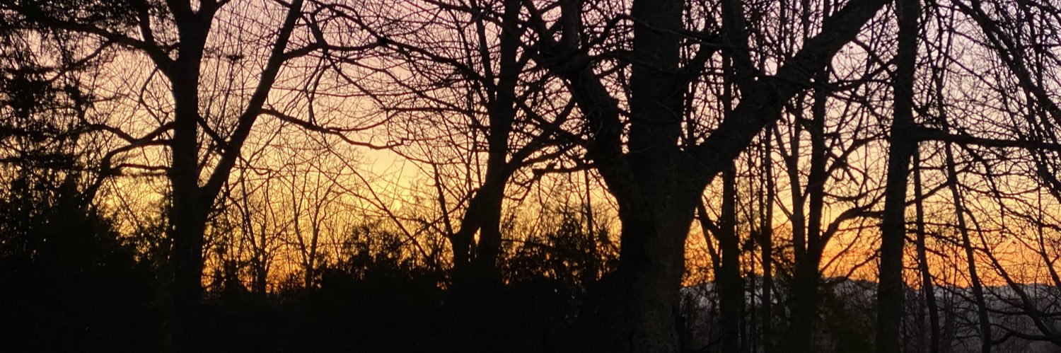 albeerg97's profile banner image
