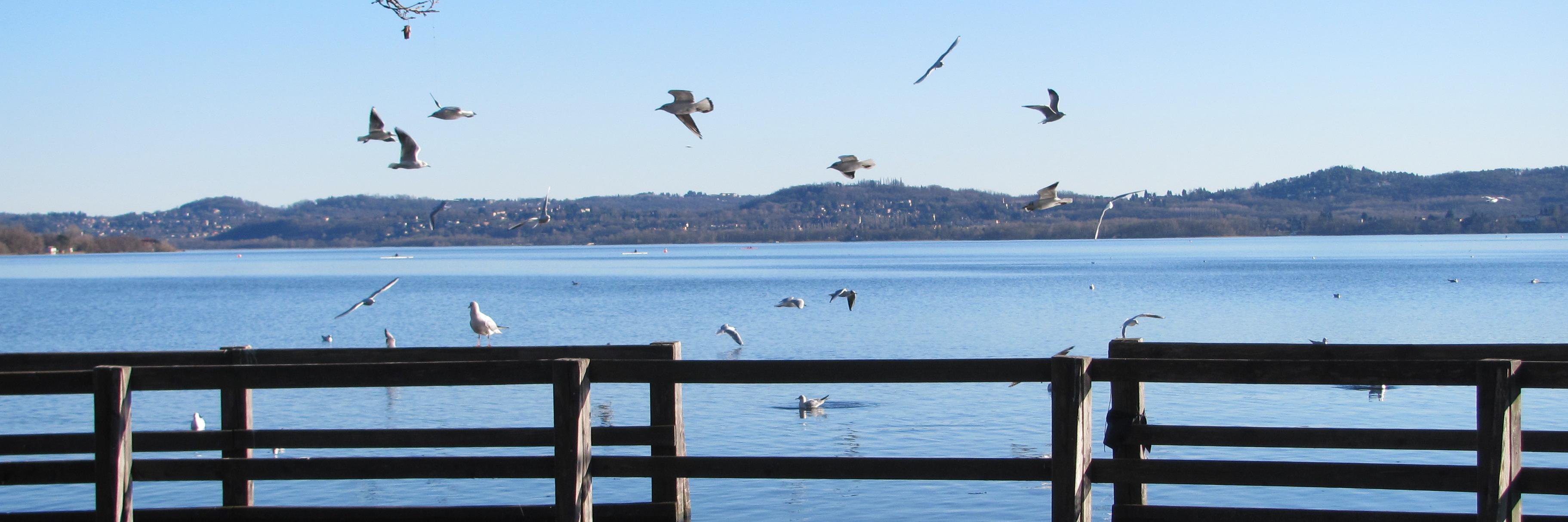 Laura 💙💛 banner