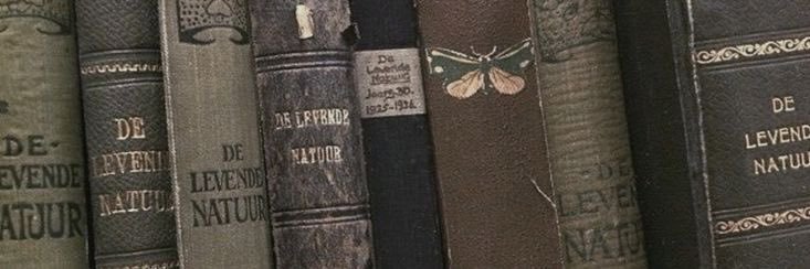 natasha fox 🖋️ banner