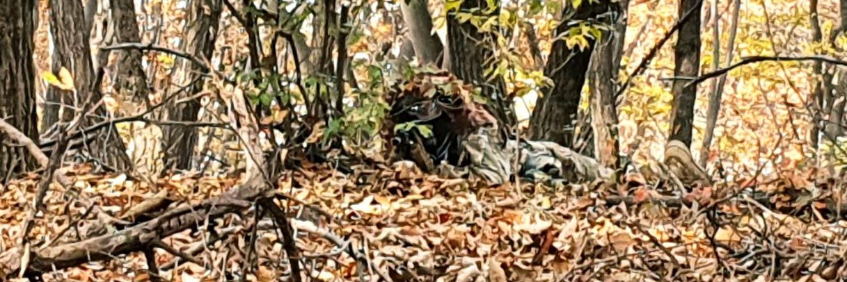 프로코프 ProKorp banner