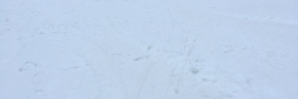 Ary1983's profile banner image
