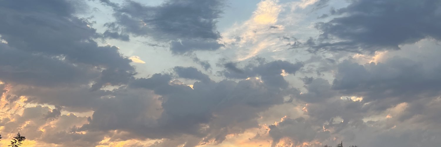 delany banner