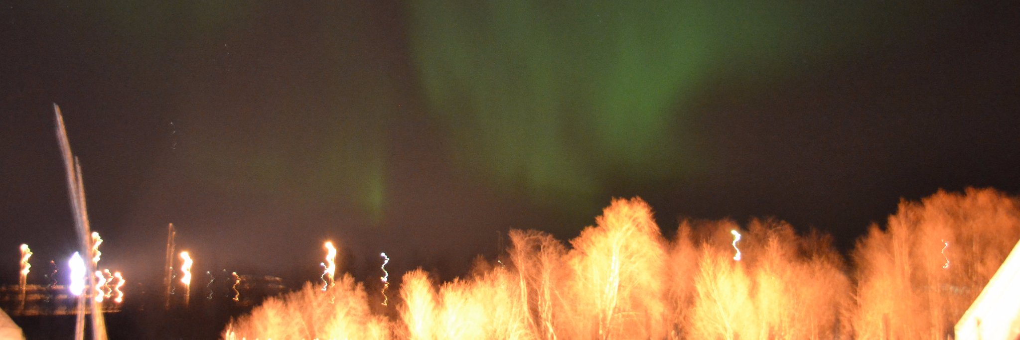 Carolynne Doherty banner