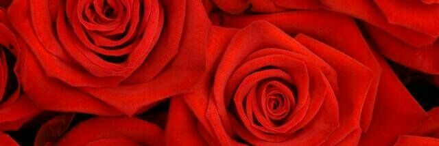 poonamrawat123's profile banner image