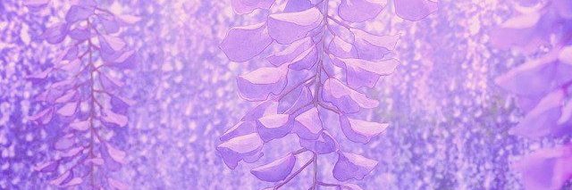 Loofycloud's profile banner image