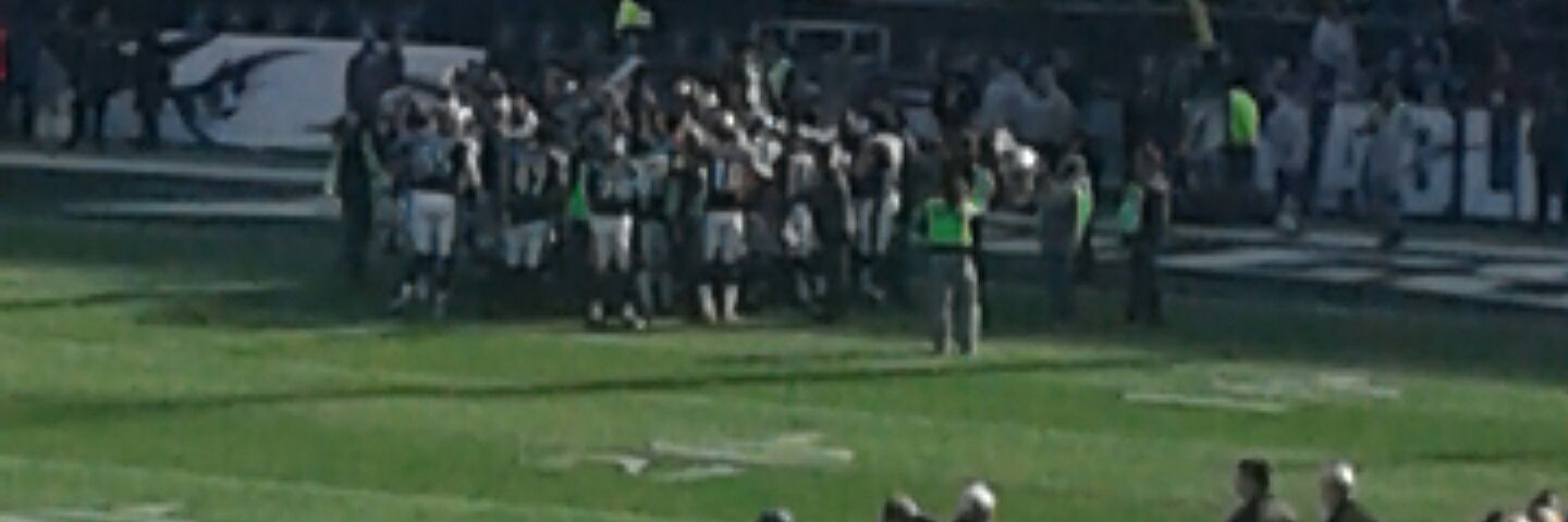 Daniel Carter banner