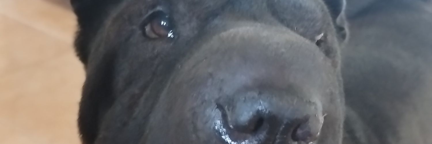 SolMEsposito's profile banner image