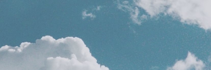 Vero león. banner