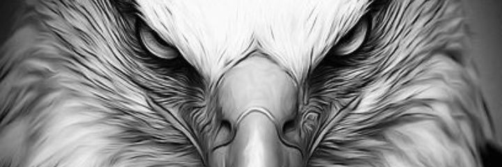 Collins20952156's profile banner image