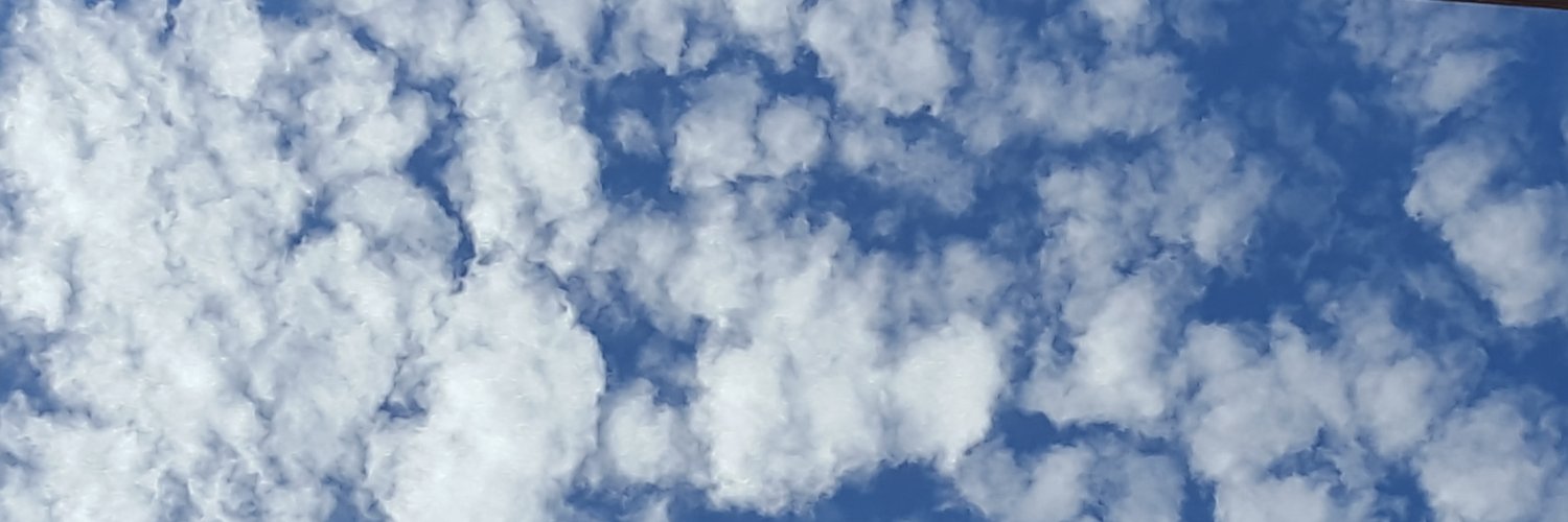 sookmook's profile banner image
