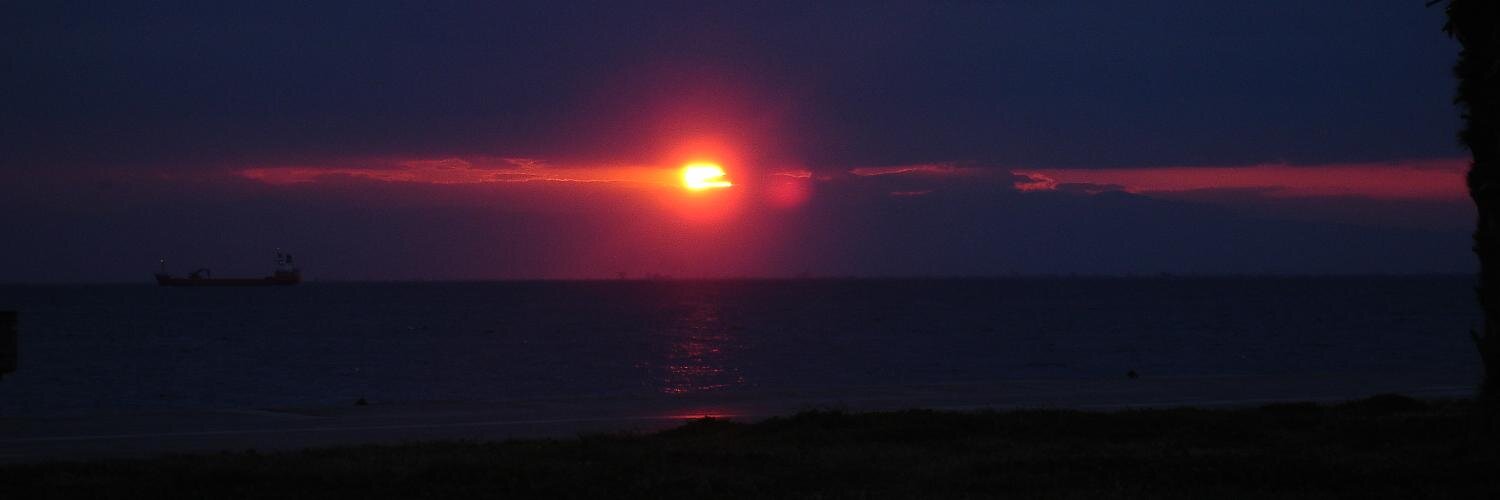 Fotis E. Psomopoulos banner