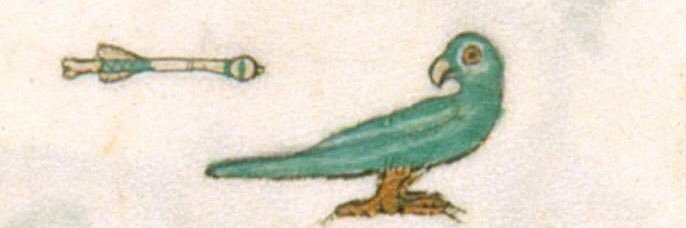 Jake 🌊🐢 banner