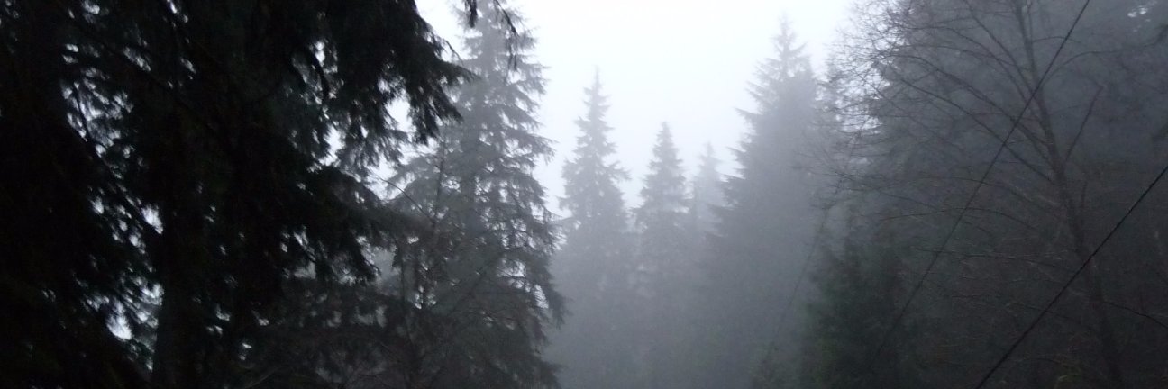 LetsHelpHope's profile banner image