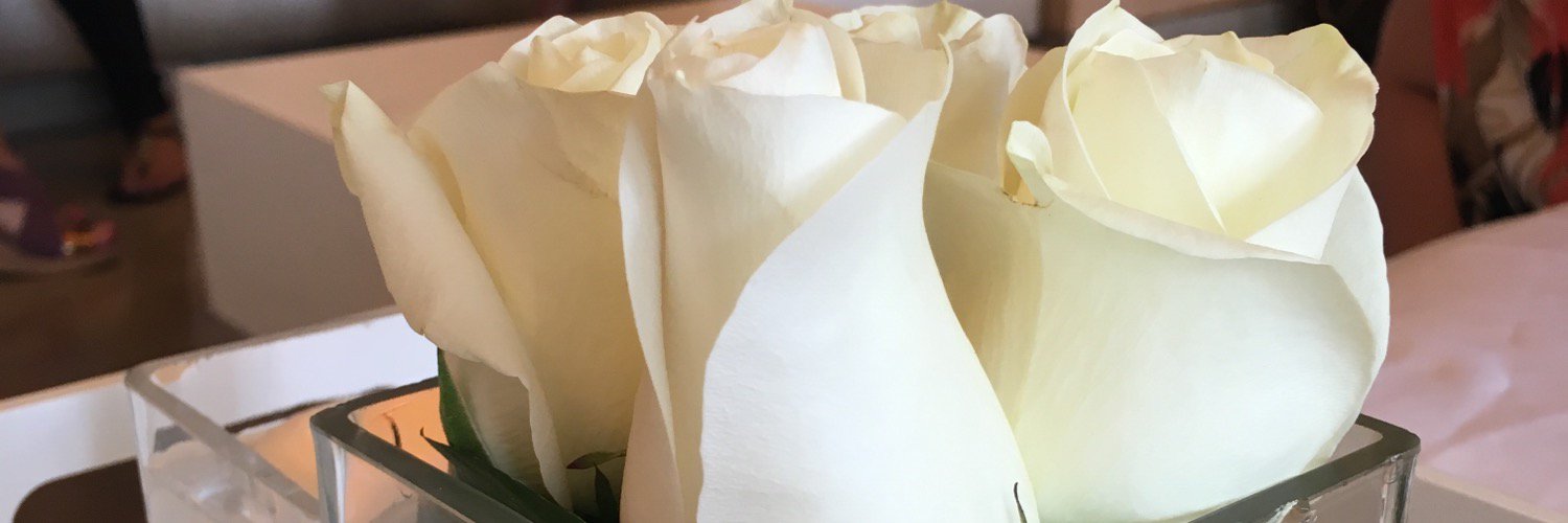 monicat3311's profile banner image