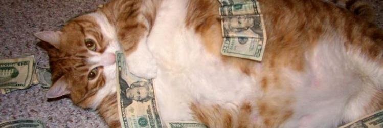 badgalbabix's profile banner image