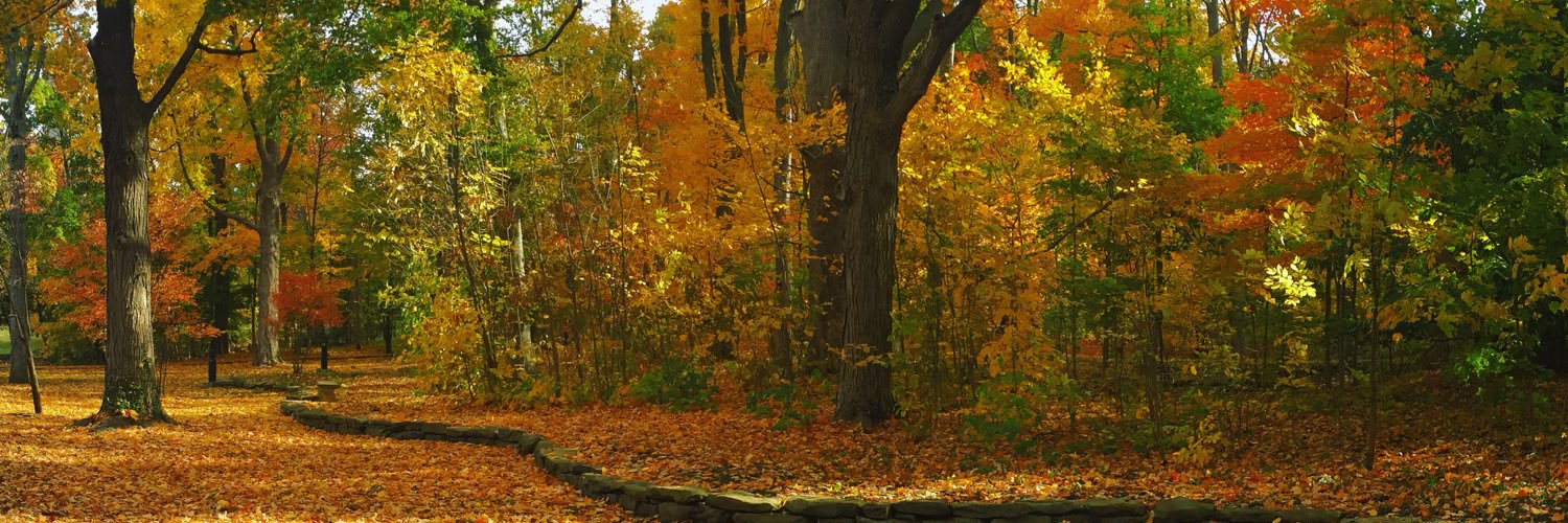 keri jucha banner