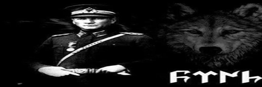 kingwise1's profile banner image