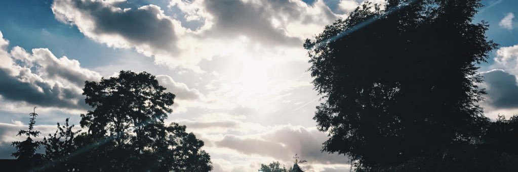 Bwickks's profile banner image