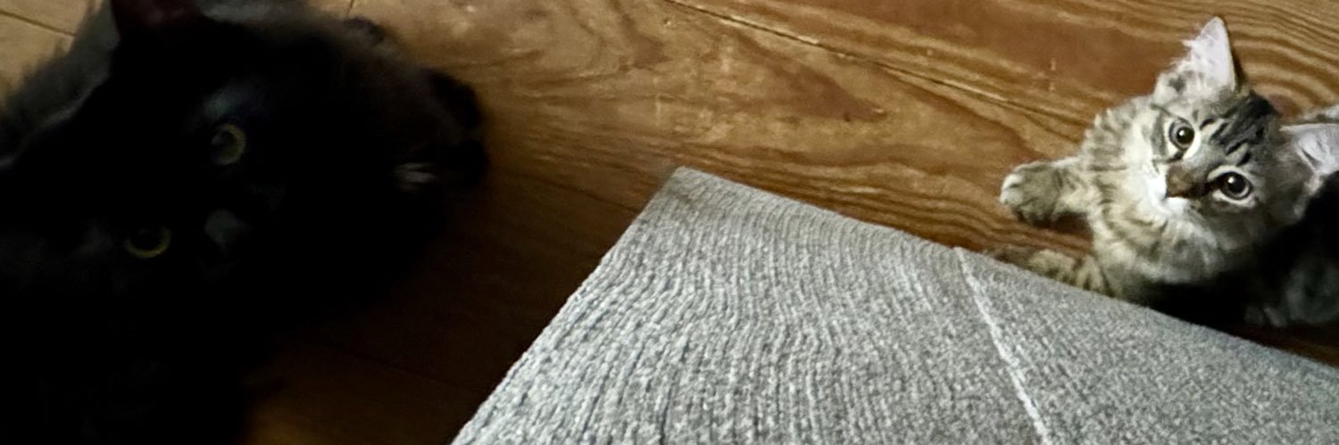 MadisonDewey's profile banner image