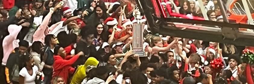 LN Fan Section 🐾 banner