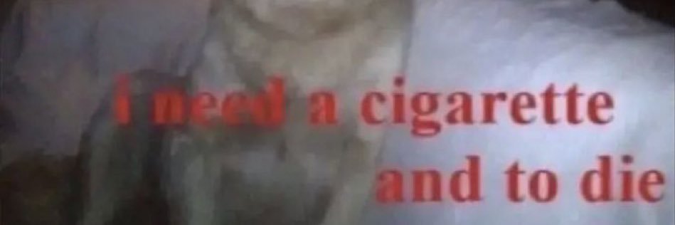 z banner