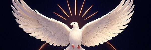 toshicom Profile Banner