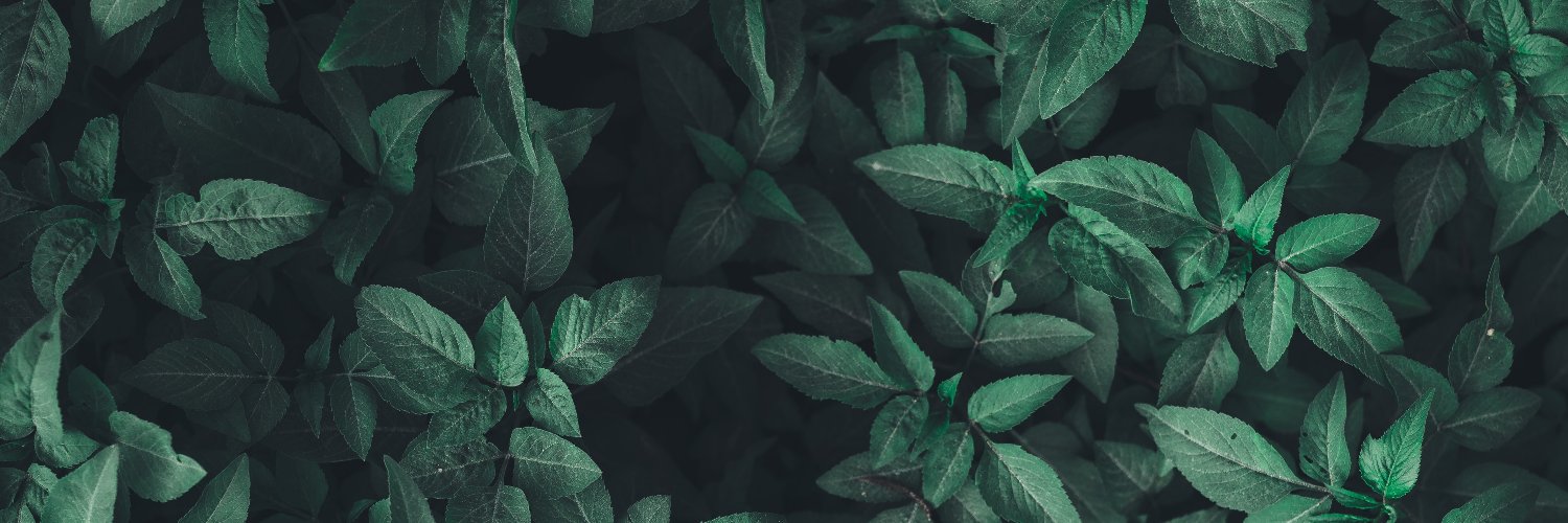 Roshan Patel's banner